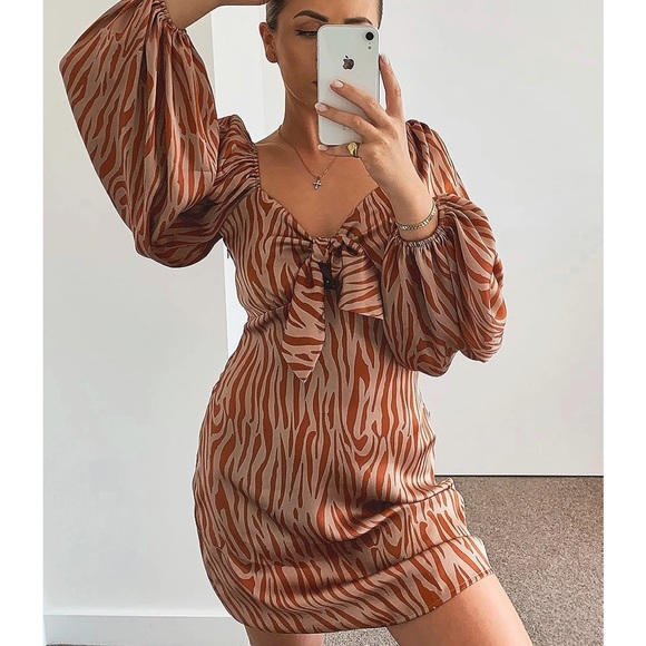 Boohoo Dresses & Skirts - Boohoo Zebra Print Bronze Volume Sleeve Mini Dress
